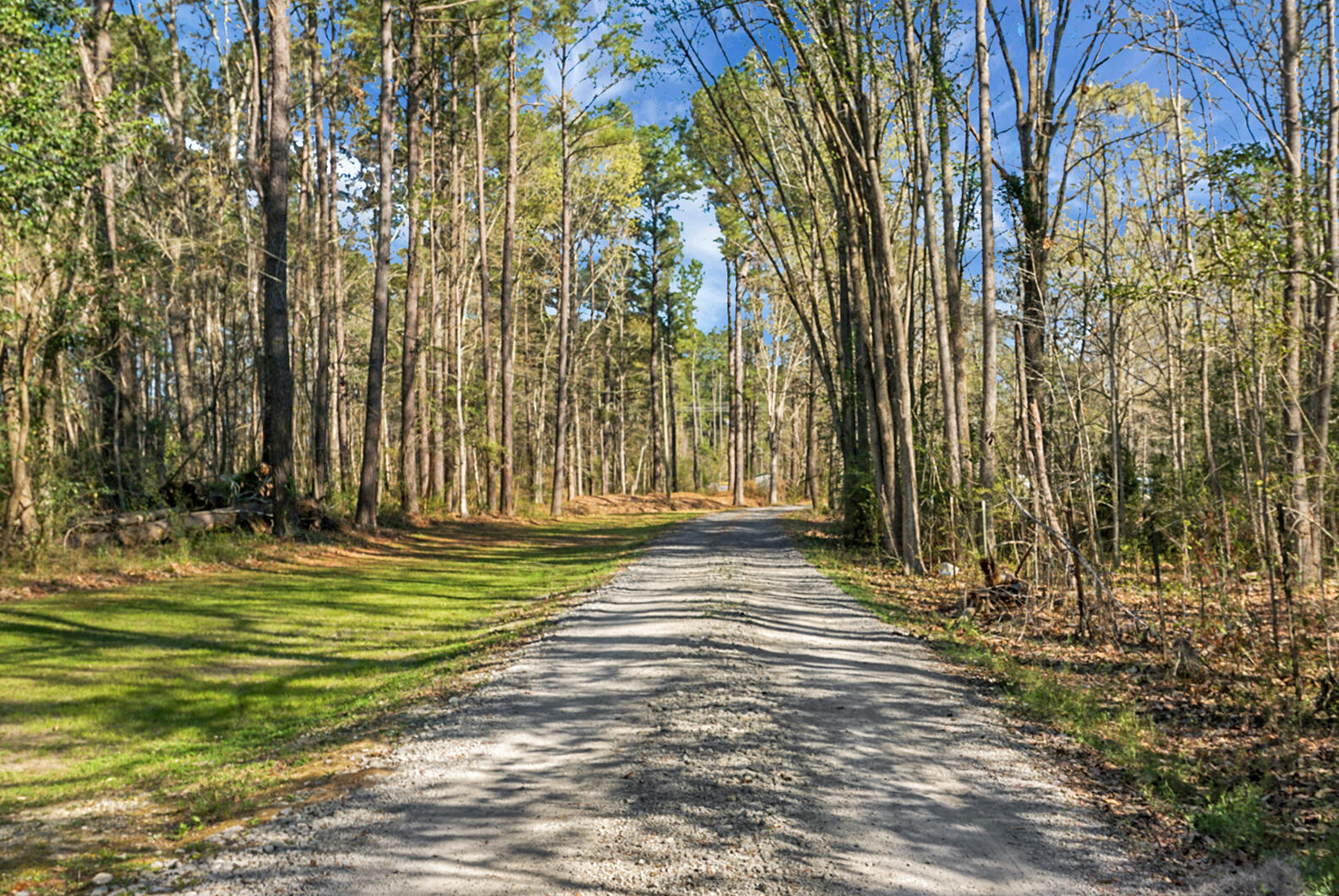 274 Rae Lane Bonneau, SC 29431 - Photo 2 of 105 DSC05162