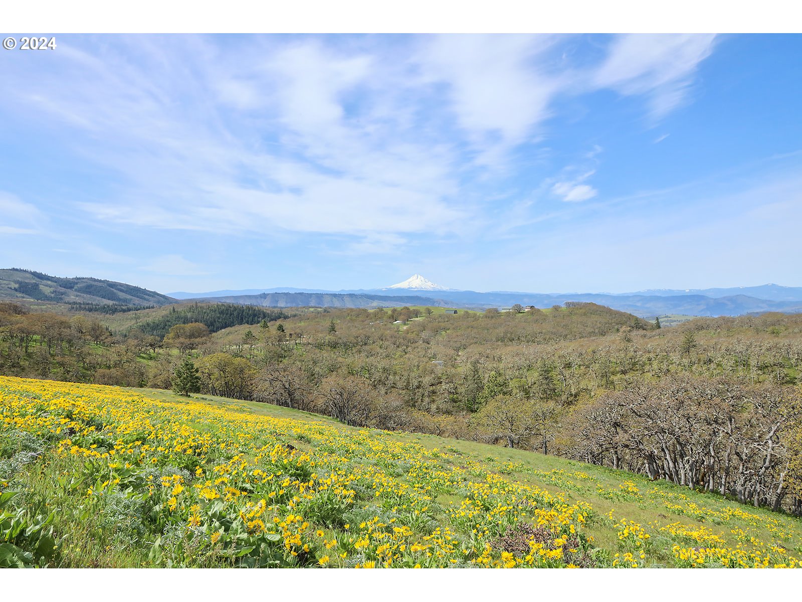 190 Oda Knight Road Lyle, WA 98635 - Photo 44 of 48 Gallery Image 44