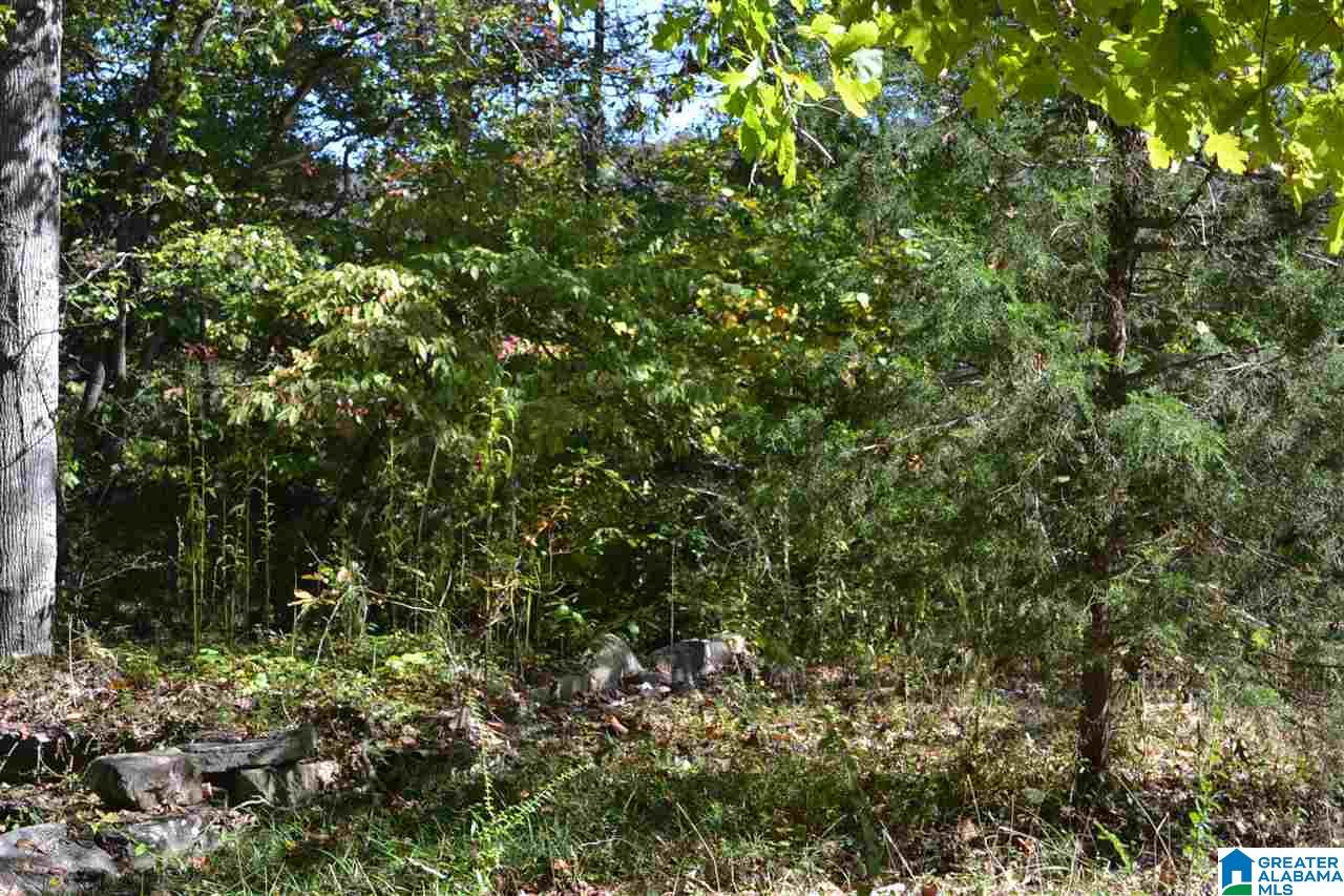 17871 Highway 75, Unit 5 7 ACRES Remlap, AL 35133 - Photo 7 of 23