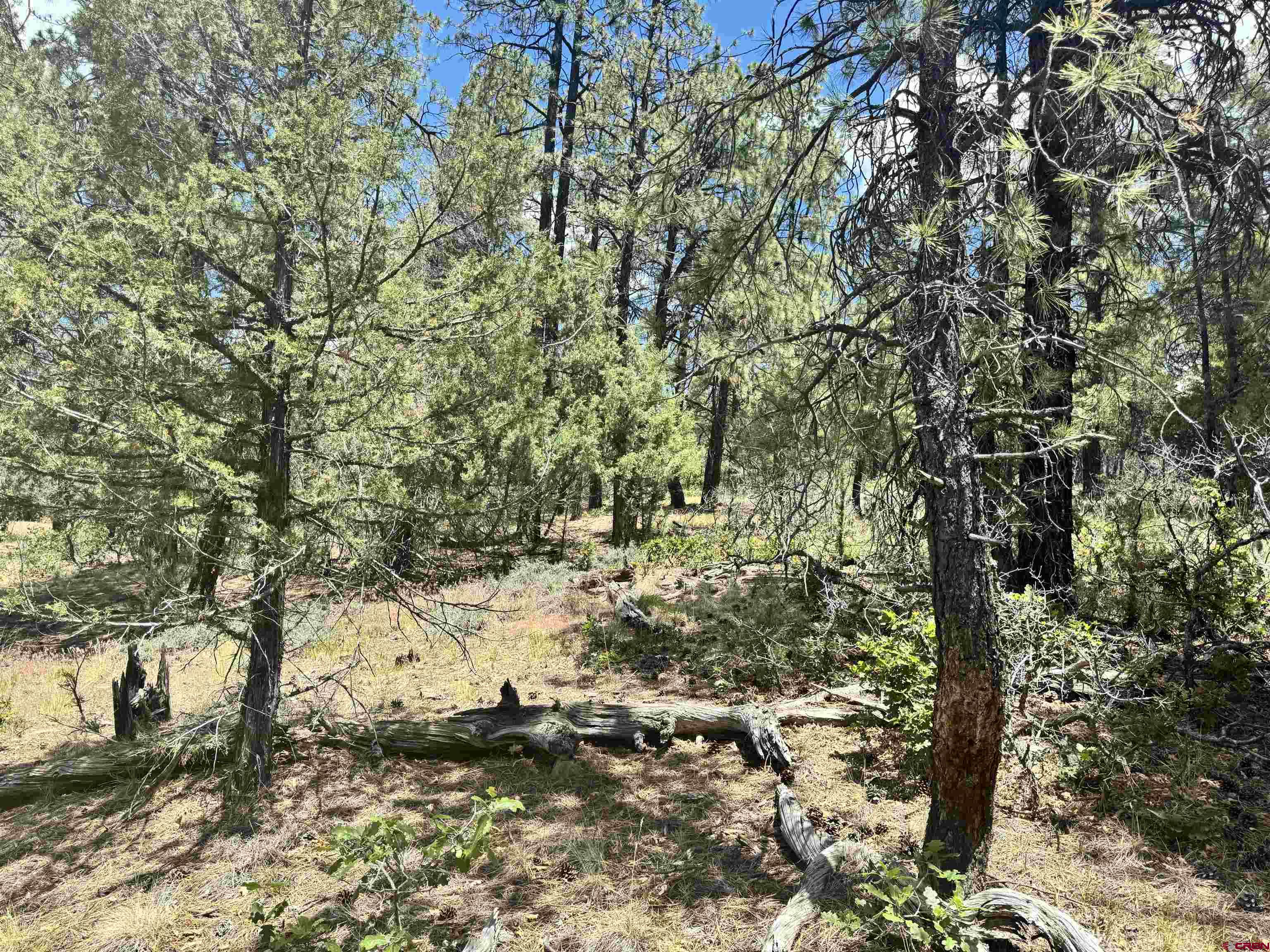 1259 Westview Road Pagosa Springs, CO 81147 - Photo 27 of 29