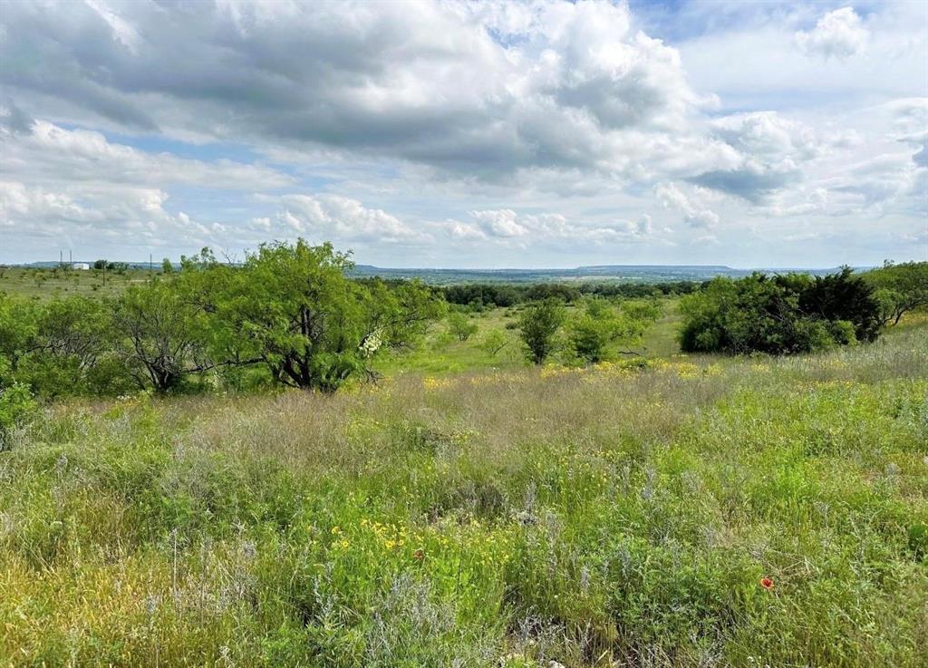 109 Comanche Hills Comanche, TX 76442 - Photo 15 of 25 a view of a yard with an tree and a wooden fence