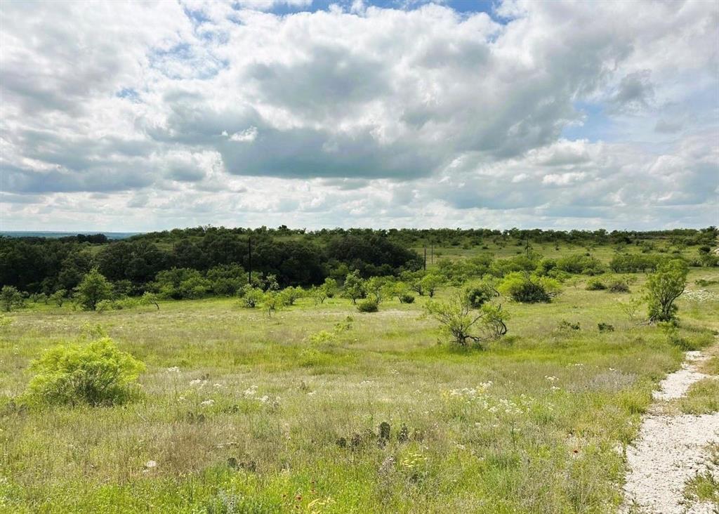 109 Comanche Hills Comanche, TX 76442 - Photo 2 of 25 a view of a yard with an outdoor space and barbeque oven