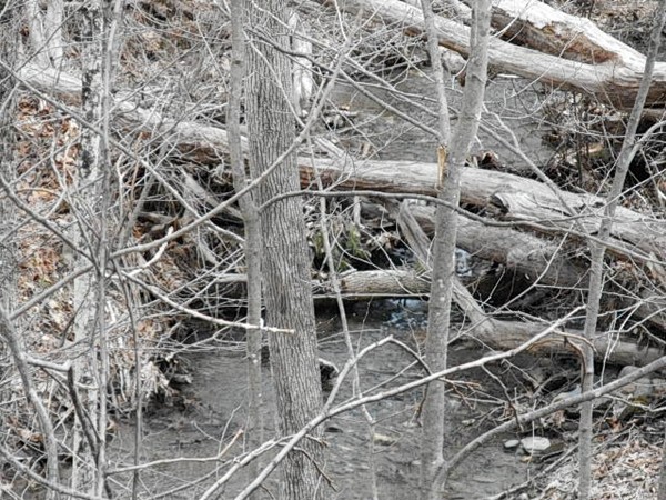 Lot 1 Main Road Colrain, MA 01340 - Photo 5 of 9 Gallery Image 5