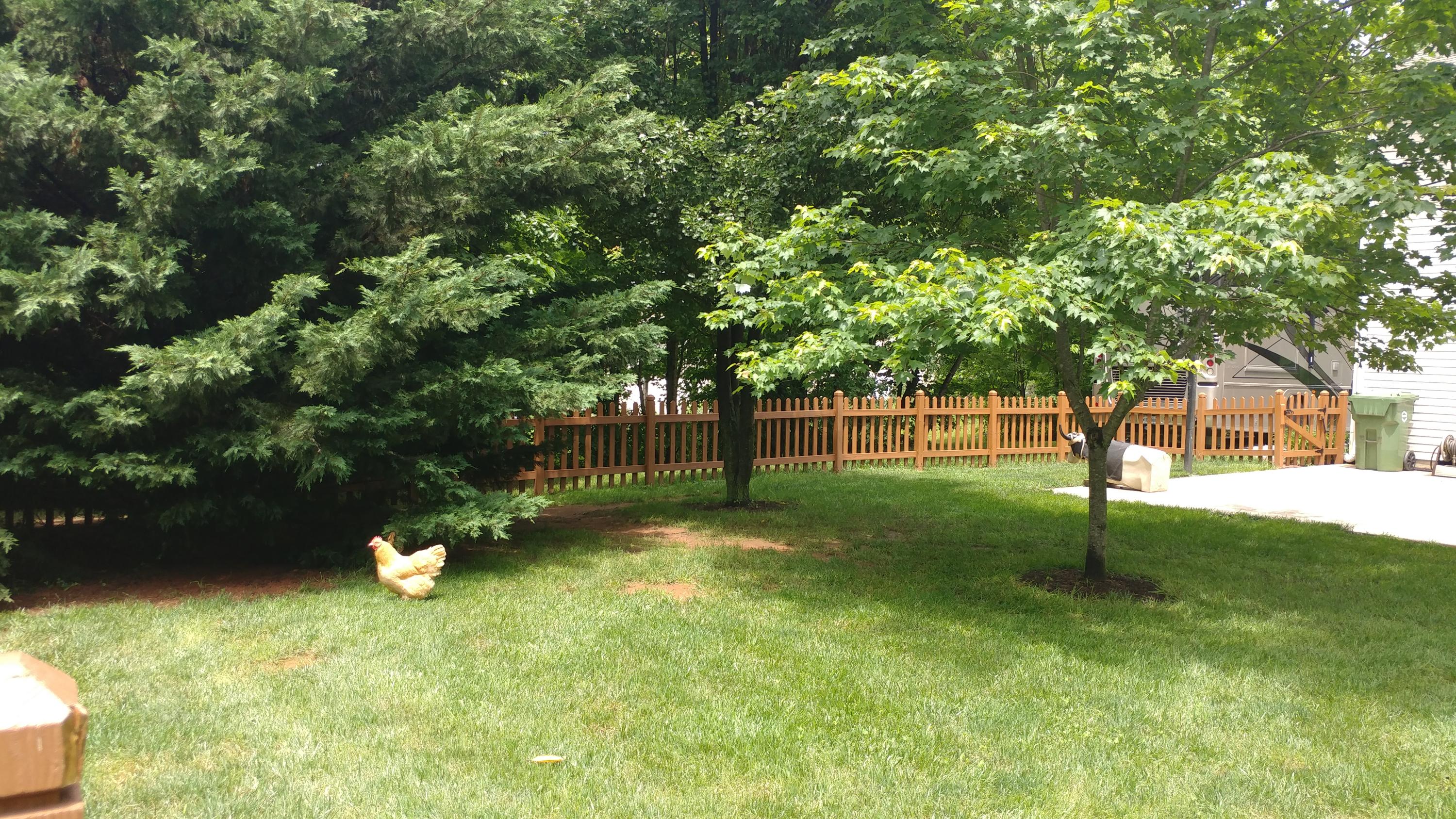 3997 Diamond Hill Road Moneta, VA 24121 - Photo 12 of 42 Back yard