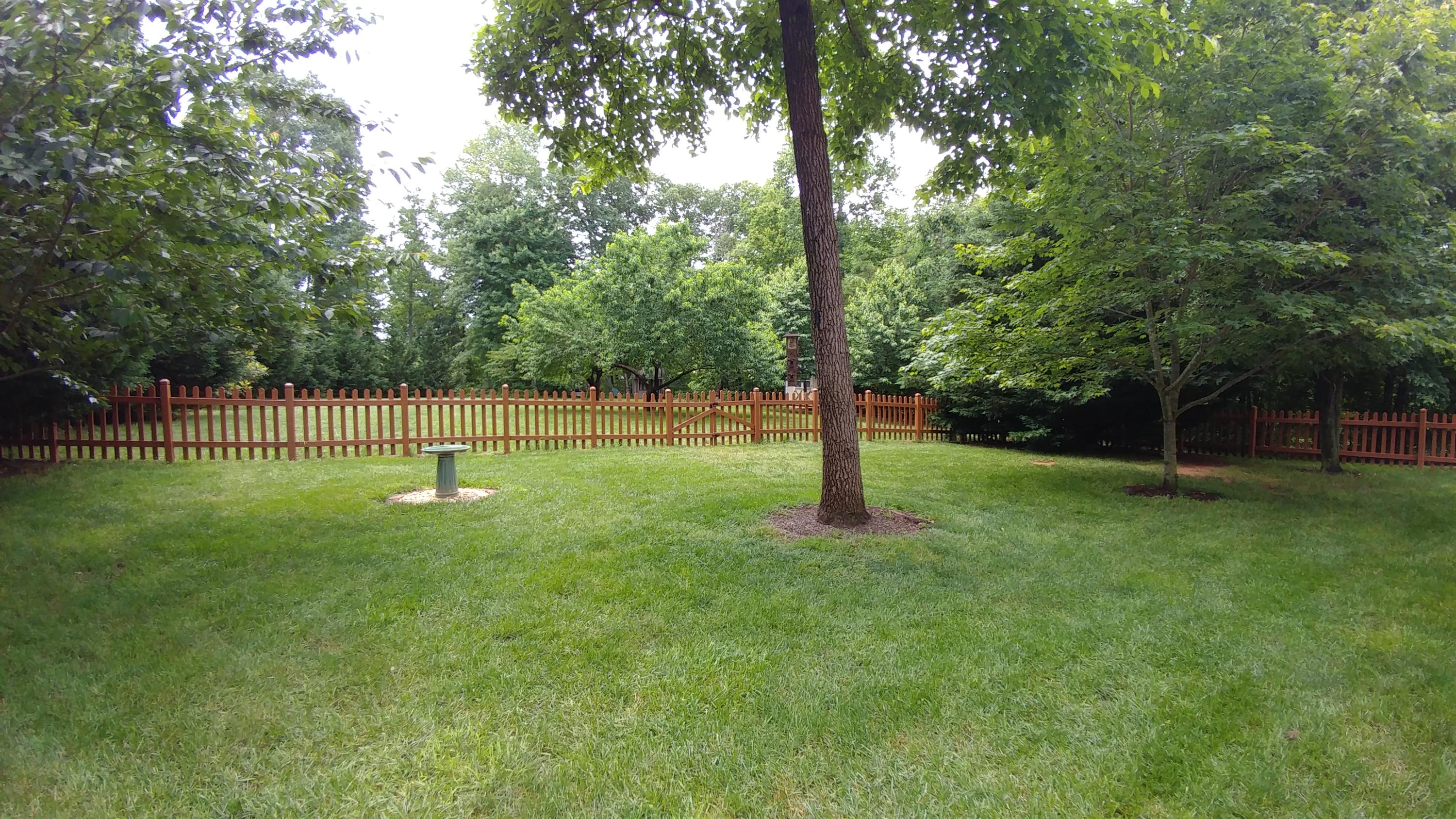 3997 Diamond Hill Road Moneta, VA 24121 - Photo 16 of 42 back yard
