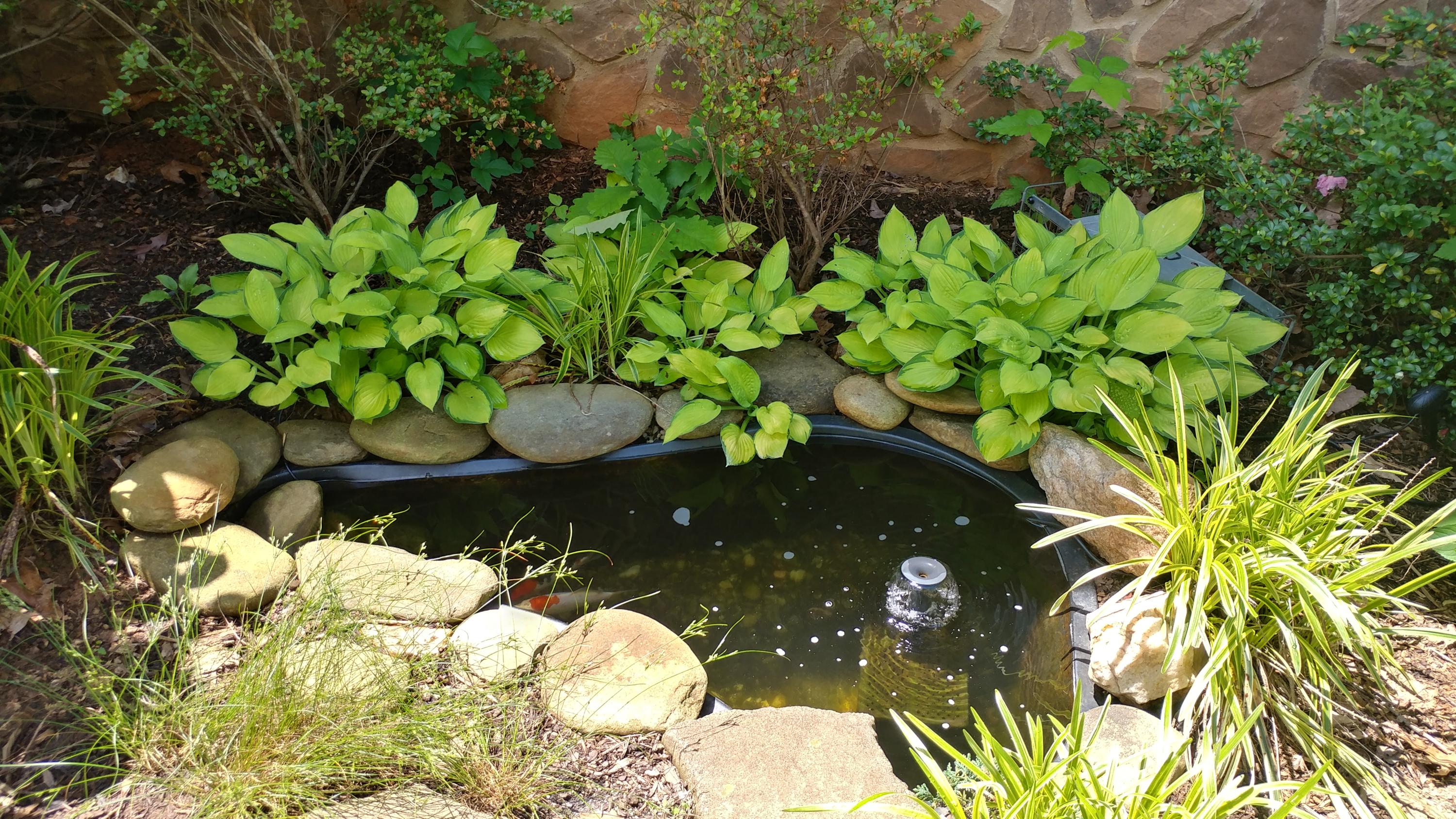 3997 Diamond Hill Road Moneta, VA 24121 - Photo 23 of 42 coy pond in front of house