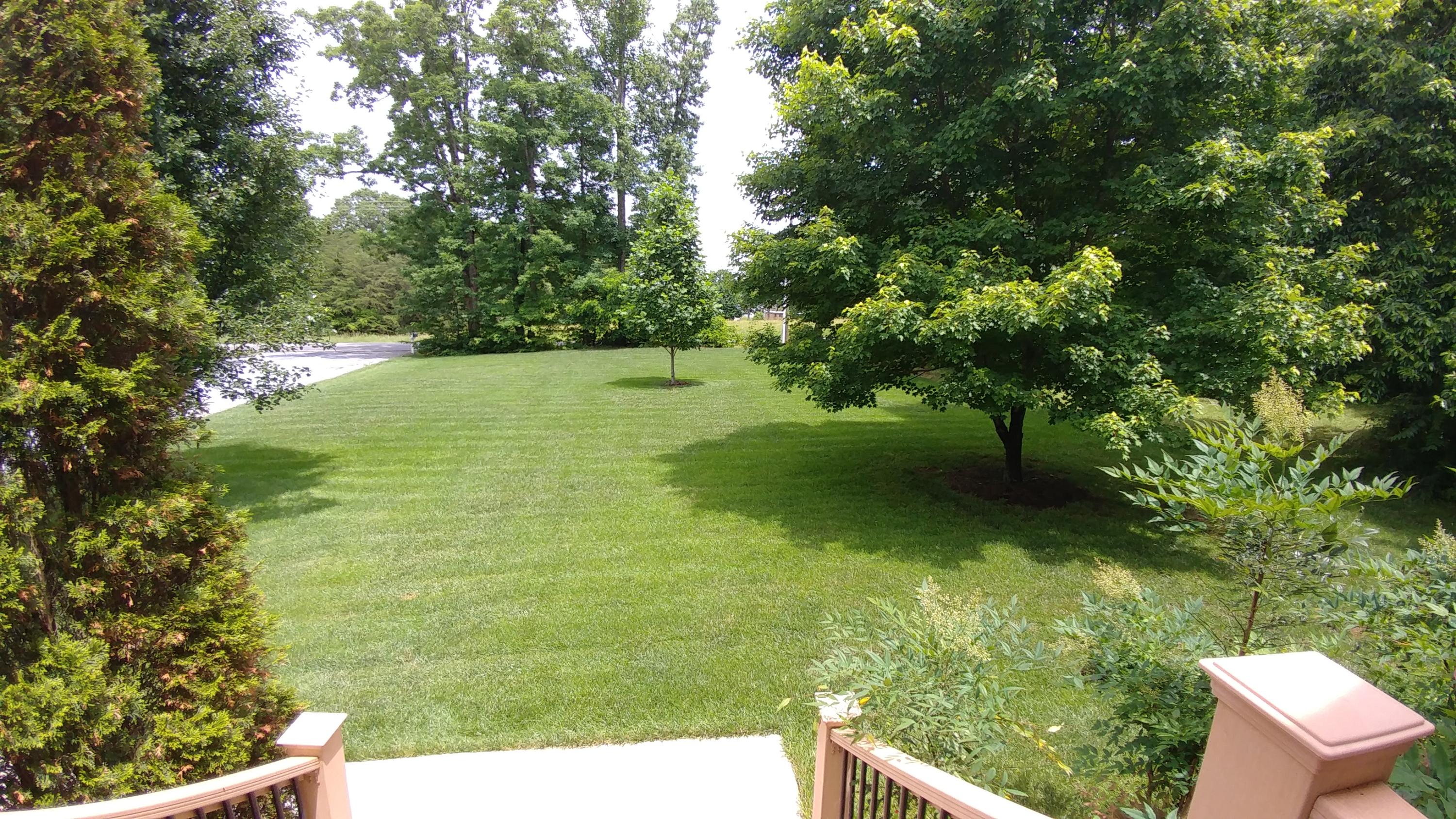 3997 Diamond Hill Road Moneta, VA 24121 - Photo 7 of 42 Back yard
