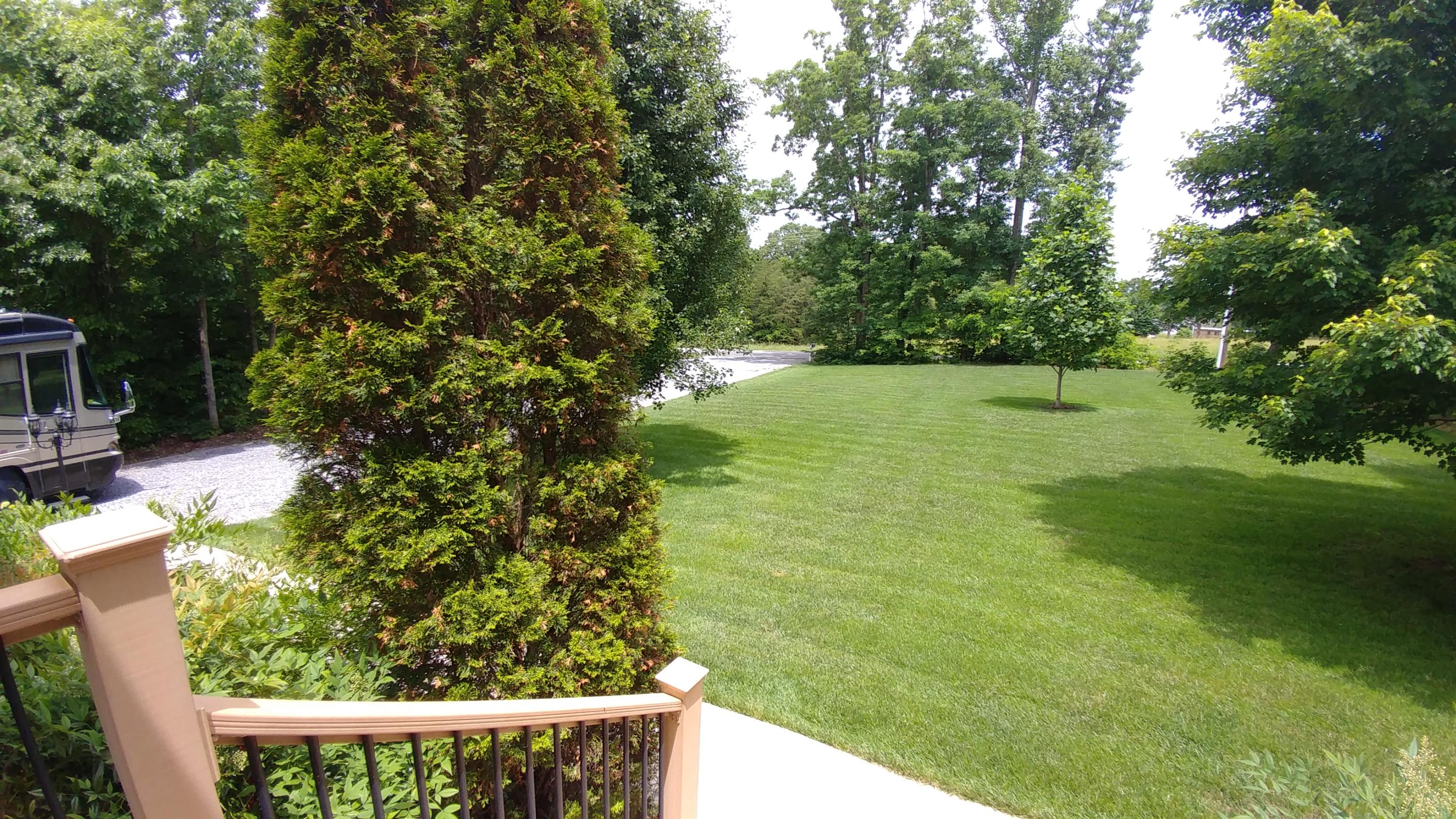 3997 Diamond Hill Road Moneta, VA 24121 - Photo 8 of 42 Back yard
