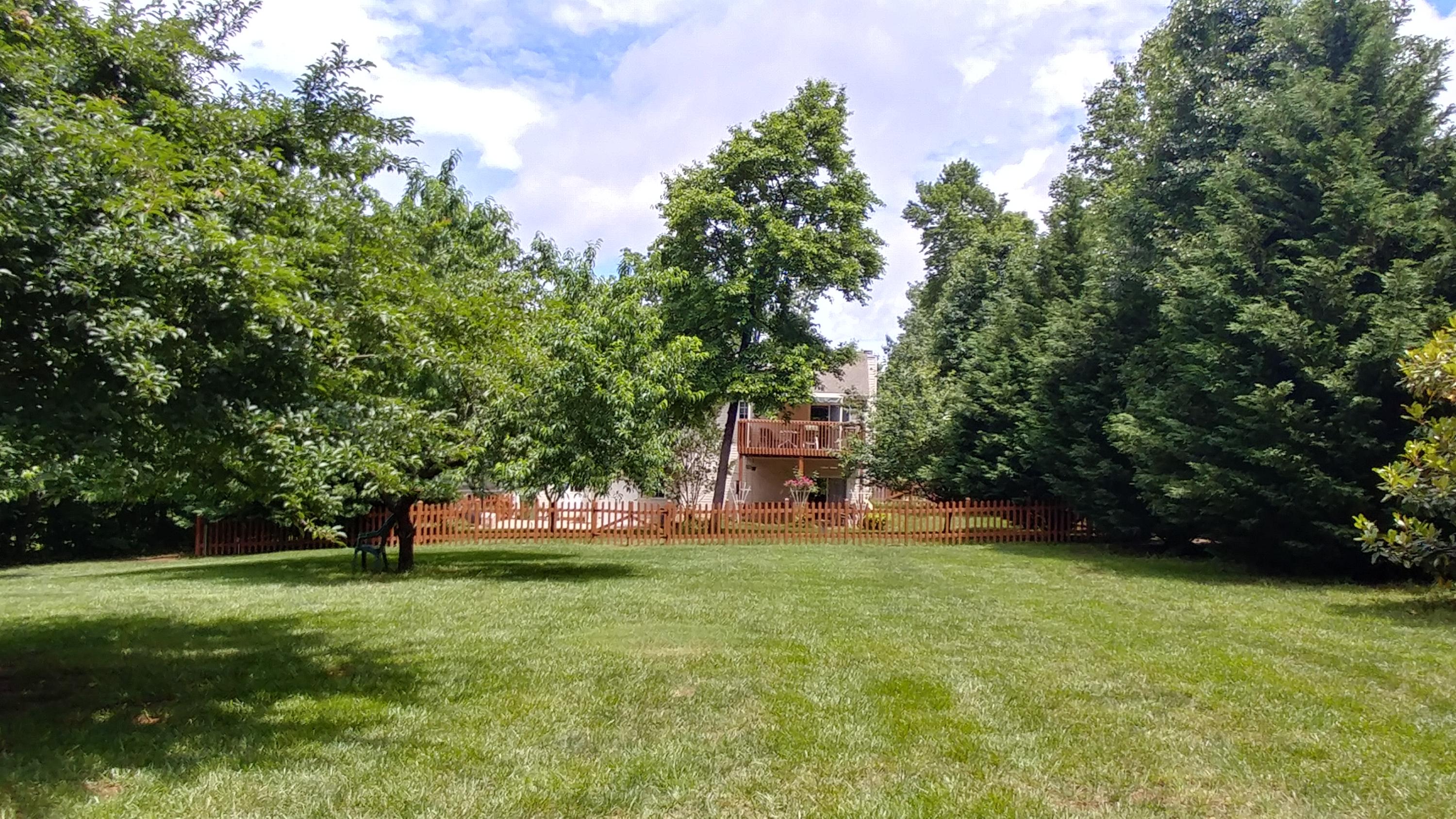 3997 Diamond Hill Road Moneta, VA 24121 - Photo 9 of 42 Back yard