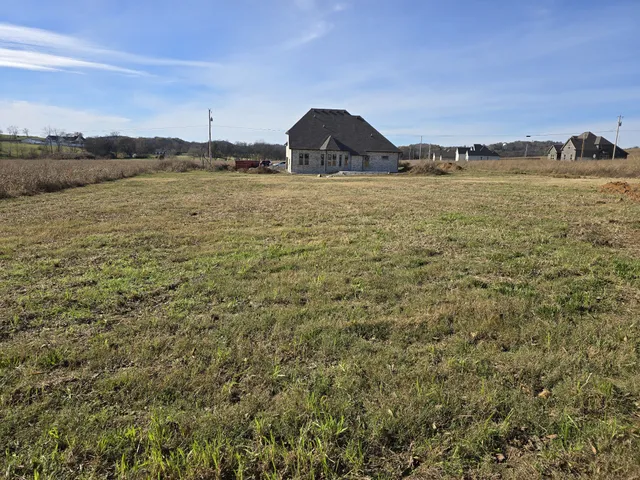 a view of a backyard