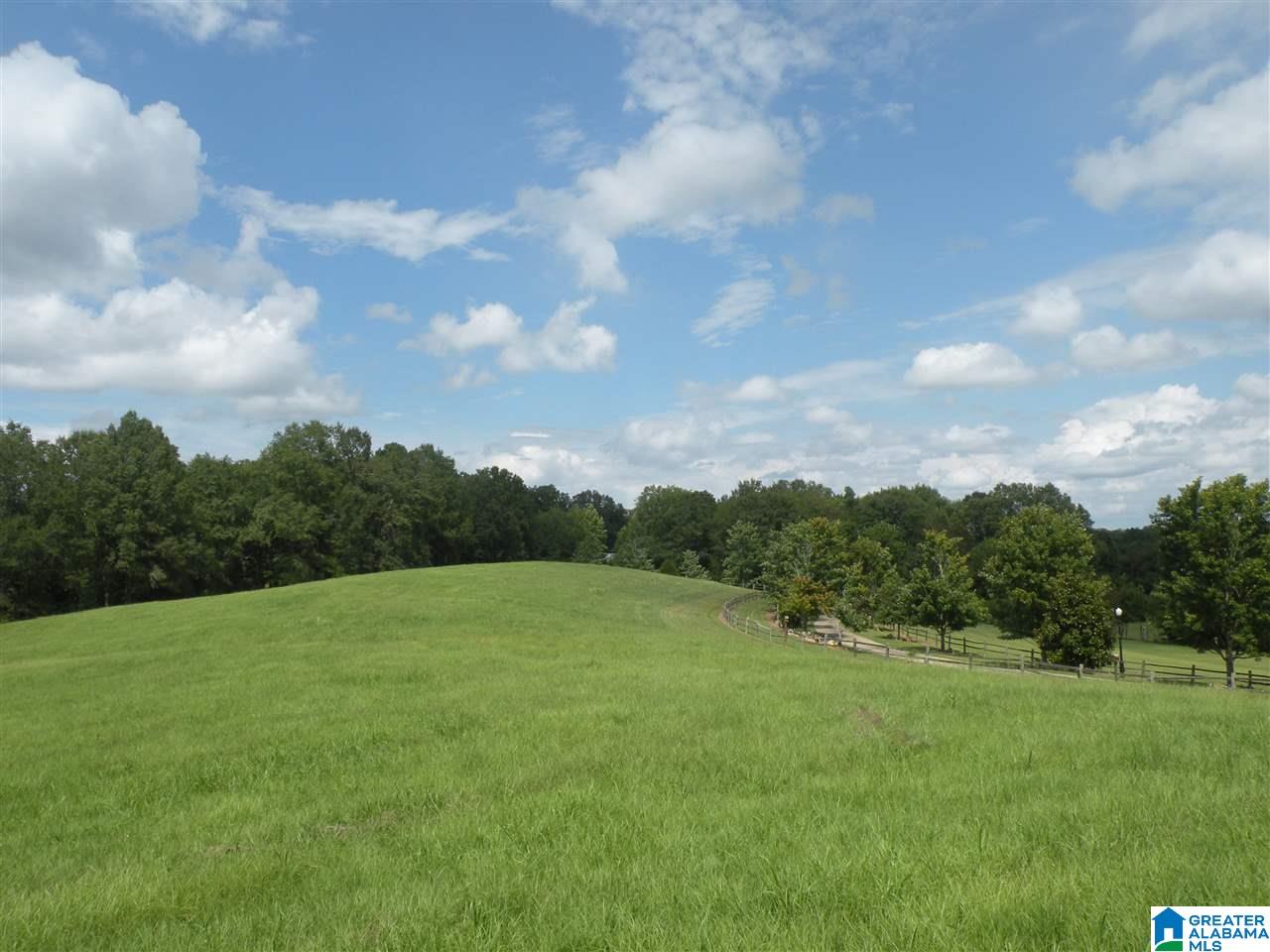 2801 Grist Mill Road Alpine, AL 35014 - Photo 43 of 47