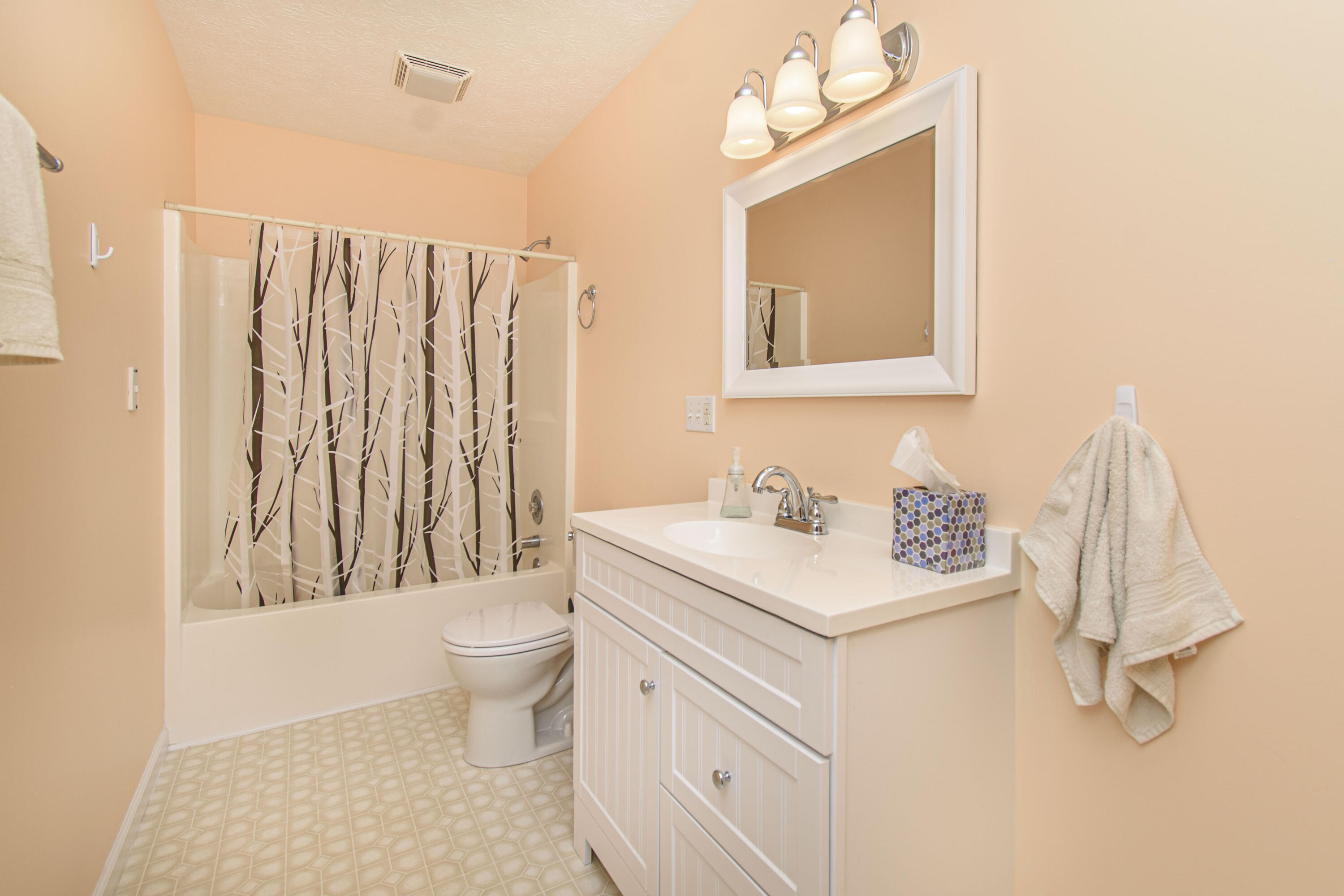 584 Kings Store Road Northeast Floyd, VA 24091 - Photo 25 of 51 a bathroom with a sink vanity mirror and toilet