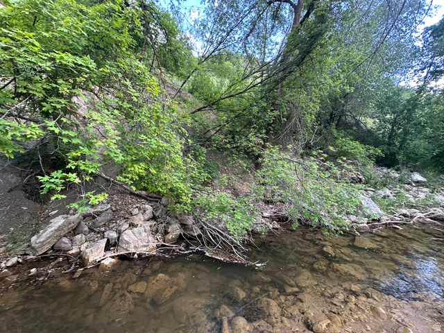 1141 South Oak Leaf Lane Springville, UT 84663 - Photo 141 of 147 FISH AND GOLF BALLS HERE