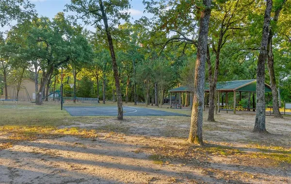 a view of dirt yard with a large tree