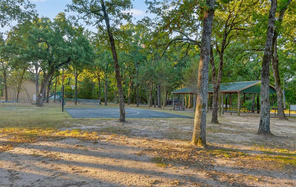 128 Armada Loop Payne Springs, TX 75156 - Photo 31 of 33 a view of a house with a backyard