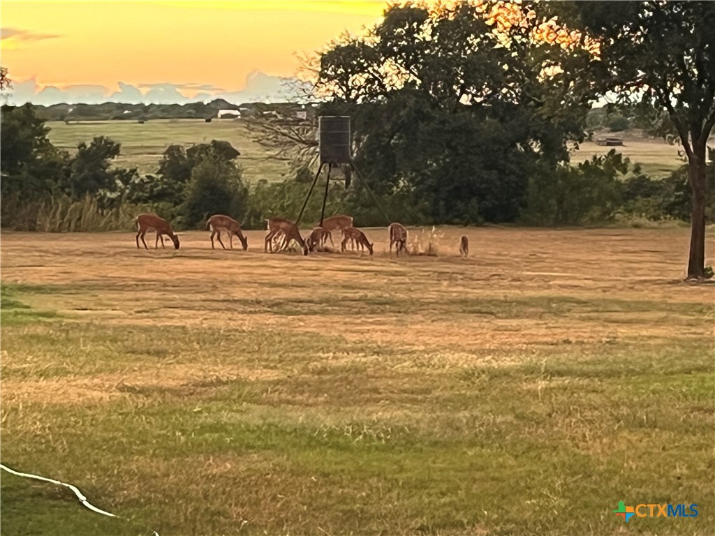 820 County Road 339 Moody, TX 76557 - Photo 29 of 36 a view of a lake view