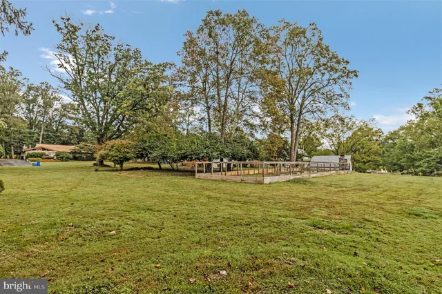 a view of an ocean with trees