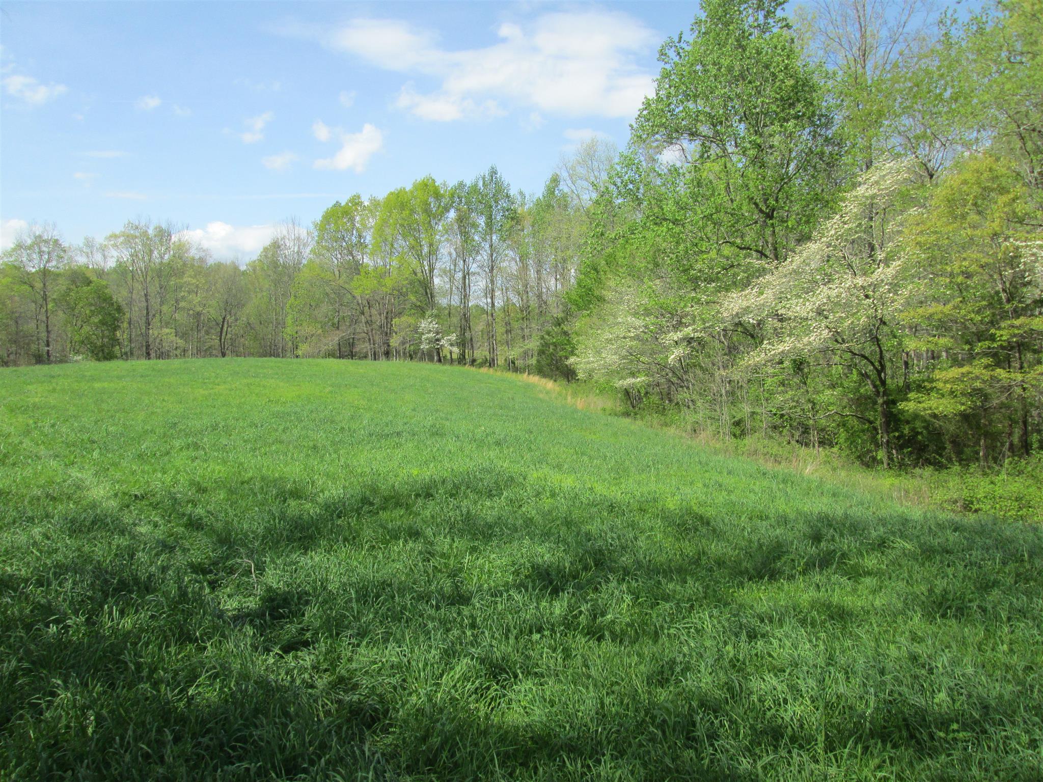 162 Mint Springs Road Ethridge, TN 38456 - Photo 1 of 7 Gallery Image 1
