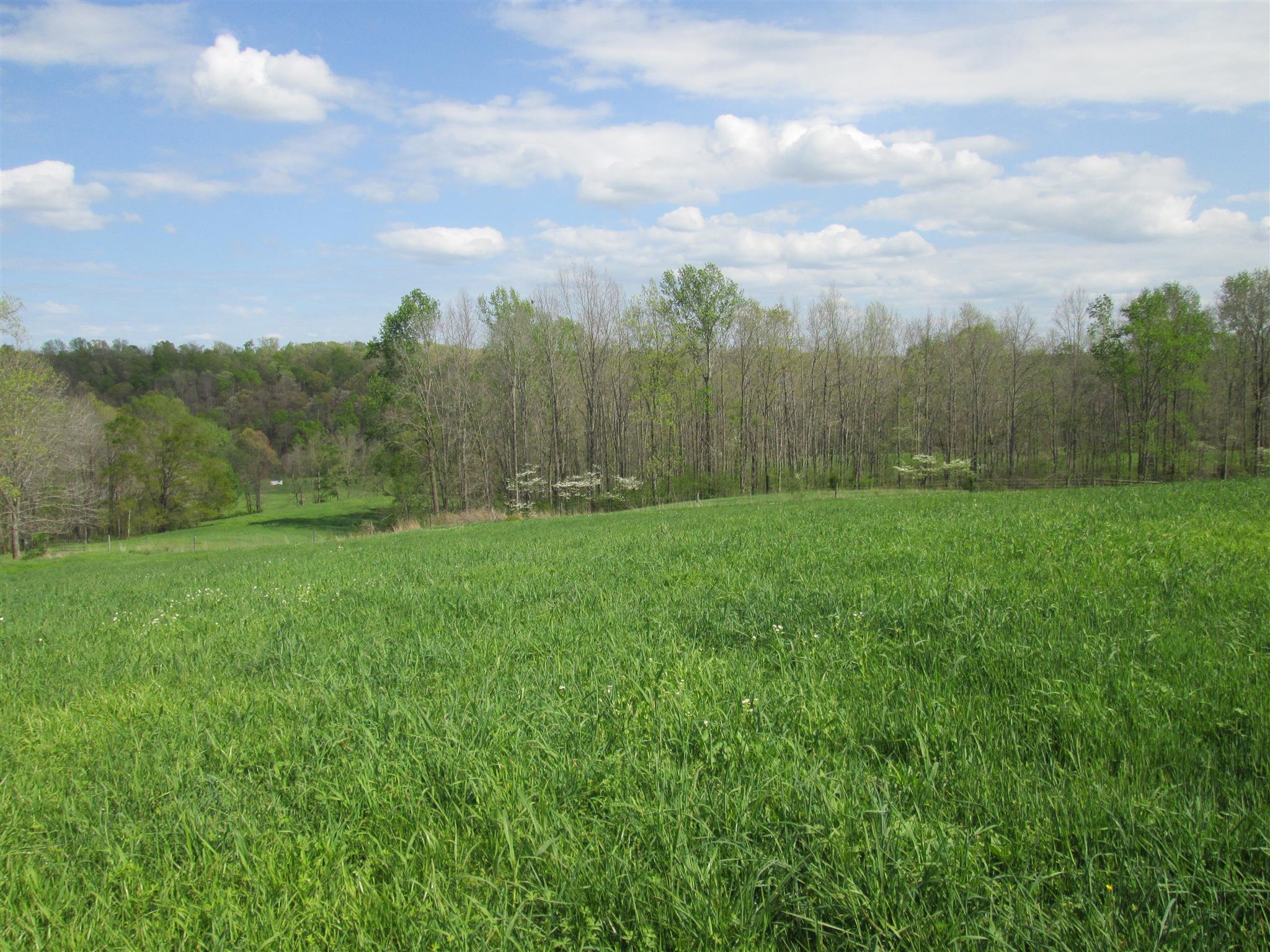 162 Mint Springs Road Ethridge, TN 38456 - Photo 3 of 7 Gallery Image 3