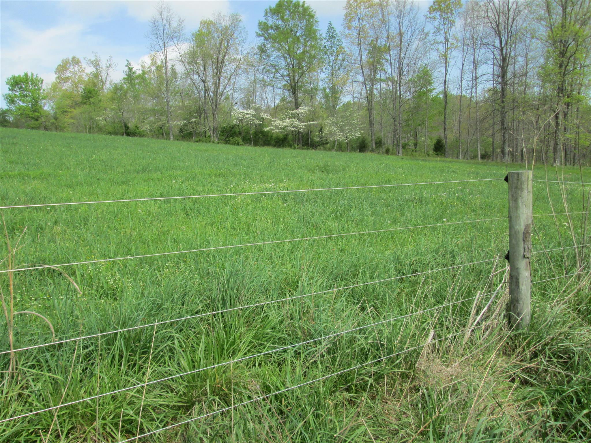 162 Mint Springs Road Ethridge, TN 38456 - Photo 4 of 7 Gallery Image 4