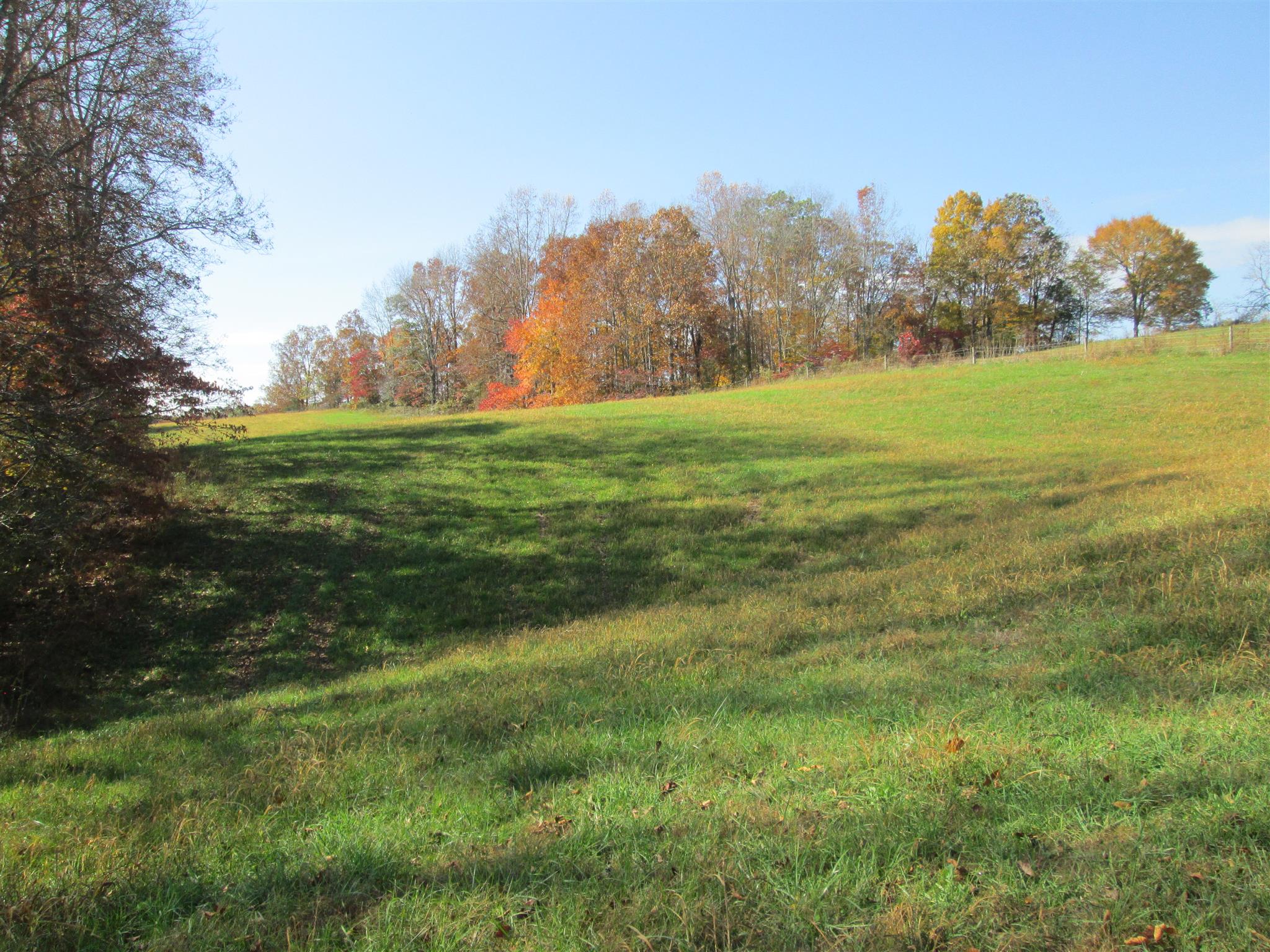 162 Mint Springs Road Ethridge, TN 38456 - Photo 5 of 7 Gallery Image 5