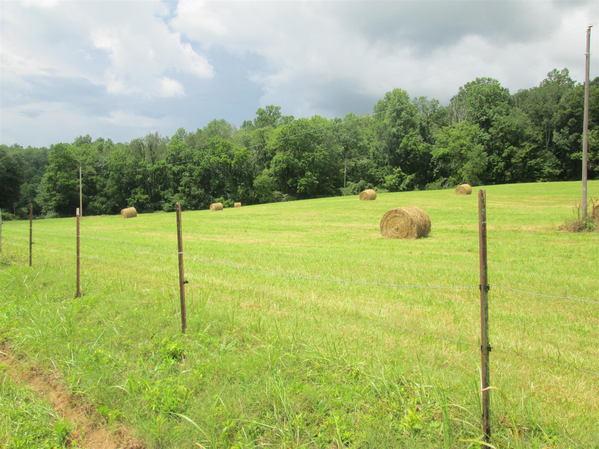 162 Mint Springs Road Ethridge, TN 38456 - Photo 6 of 7 Gallery Image 6