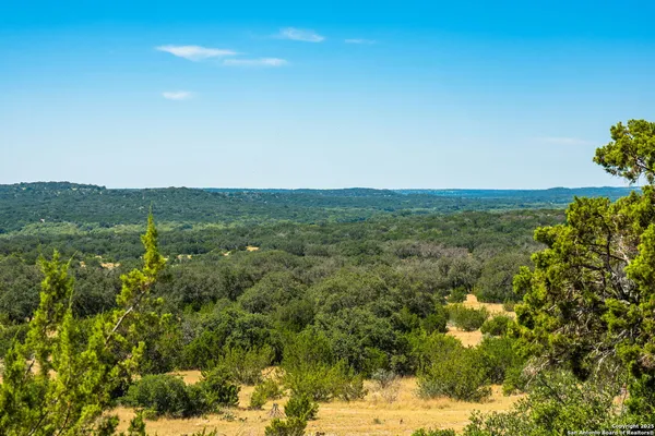 a view of a field with an trees