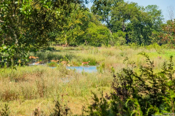 a view of lake with green space