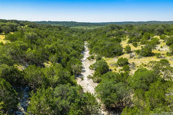 a view of a lush green forest with houses