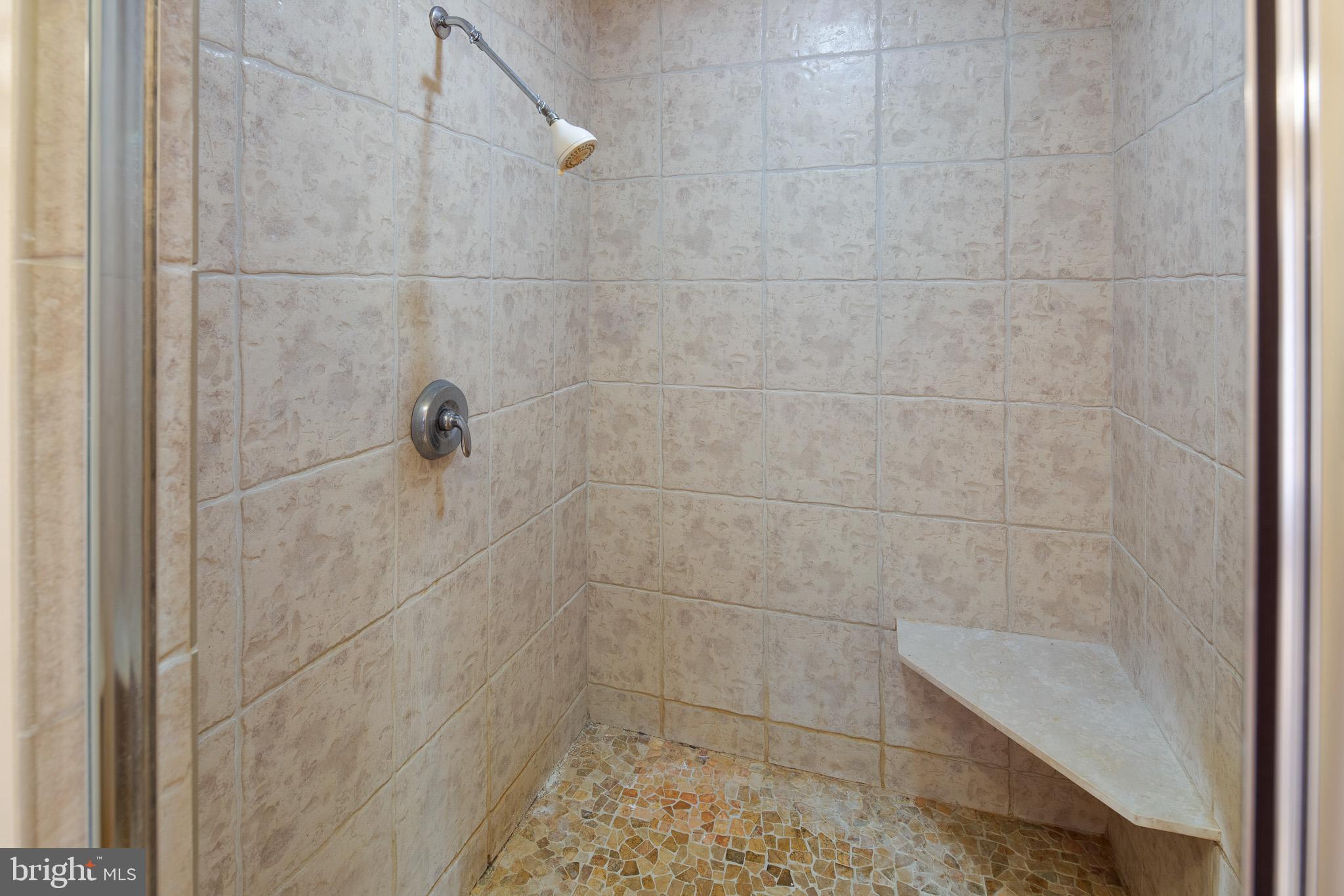 416 Ewan Road Mullica Hill, NJ 08062 - Photo 22 of 42 Master Bath w/ custom walk-in stall shower