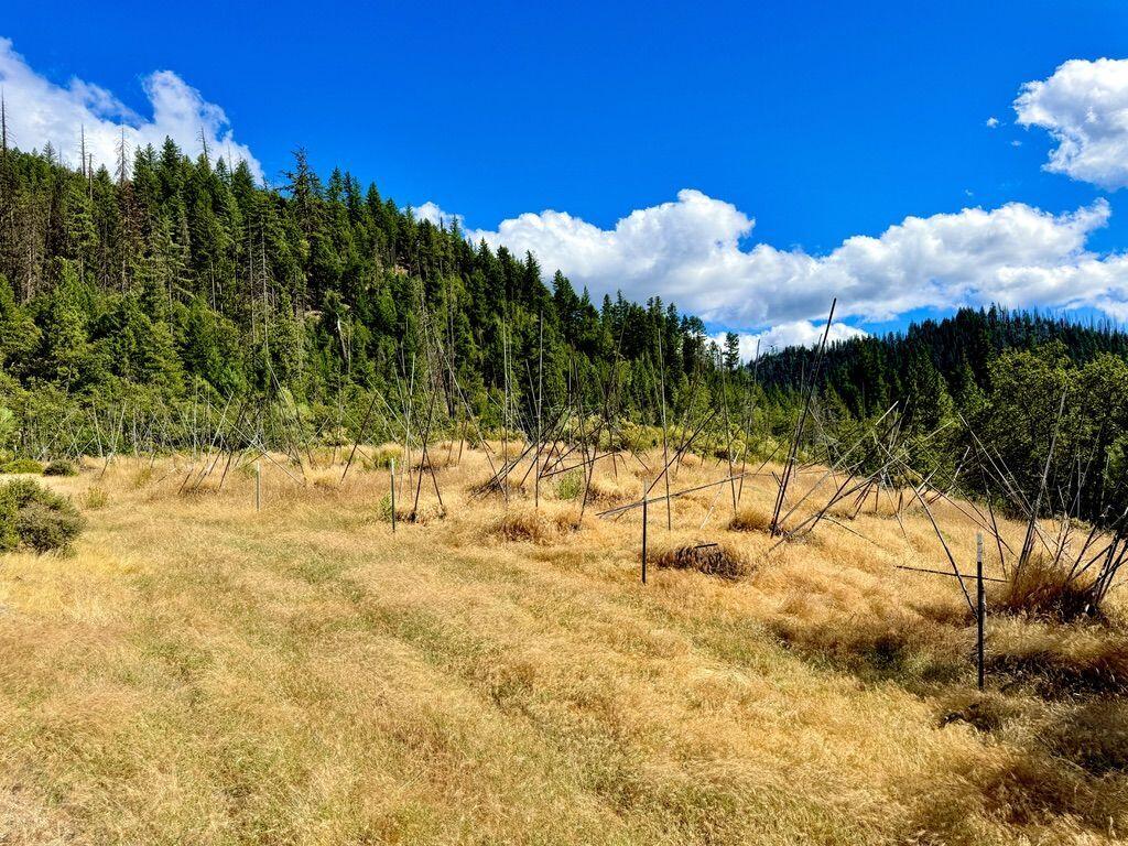 925 Kingsbury Road Hayfork, CA 96041 - Photo 13 of 21 K13