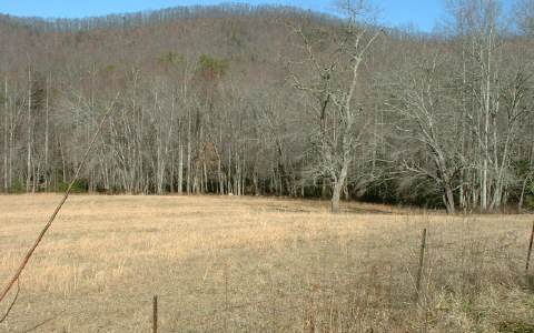 Roberson Road Murphy, NC 28906 - Photo 1 of 1 Main View
