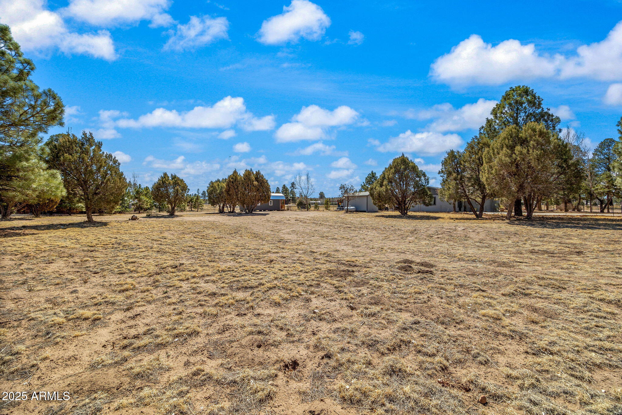 2727 Pine Meadow Drive Overgaard, AZ 85933 - Photo 25 of 34
