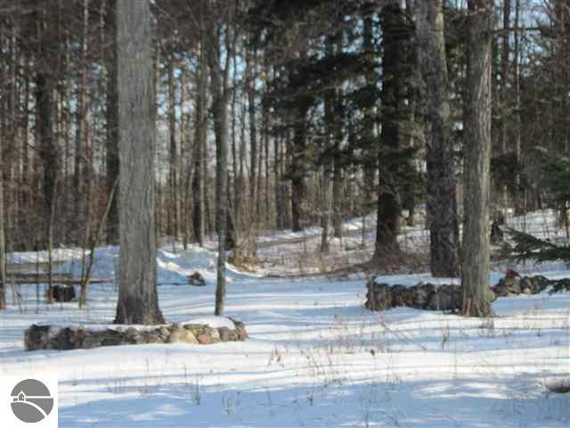 550 Starks Road Mancelona, MI 49659 - Photo 10 of 12 1733439-9.JPG