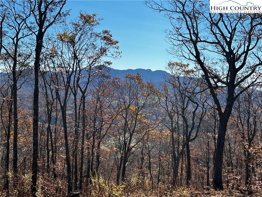 Lot 2 Chappell Farm Road Banner Elk, NC 28604 - Photo 1 of 27 a view of a backyard with wooden fence and large trees