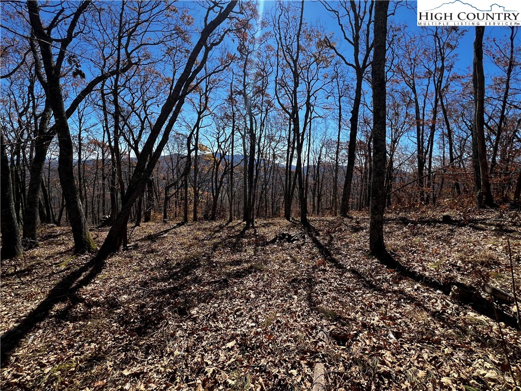 Lot 2 Chappell Farm Road Banner Elk, NC 28604 - Photo 11 of 27 a view of a backyard of the house