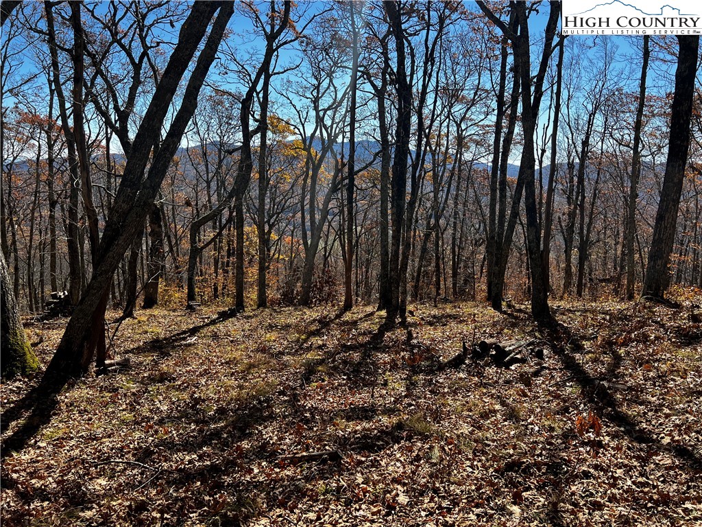 Lot 2 Chappell Farm Road Banner Elk, NC 28604 - Photo 12 of 27 a view of a backyard of the house
