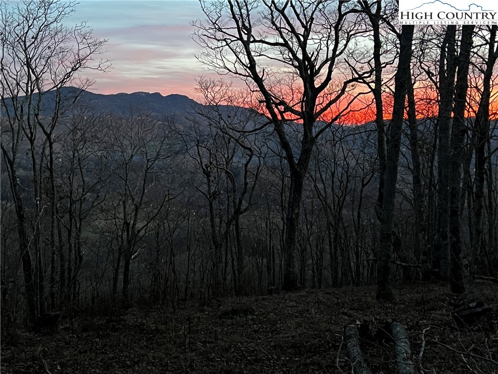 Lot 2 Chappell Farm Road Banner Elk, NC 28604 - Photo 15 of 27 a view of backyard with green space