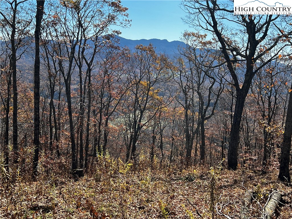 Lot 2 Chappell Farm Road Banner Elk, NC 28604 - Photo 4 of 27 a view of a yard with trees