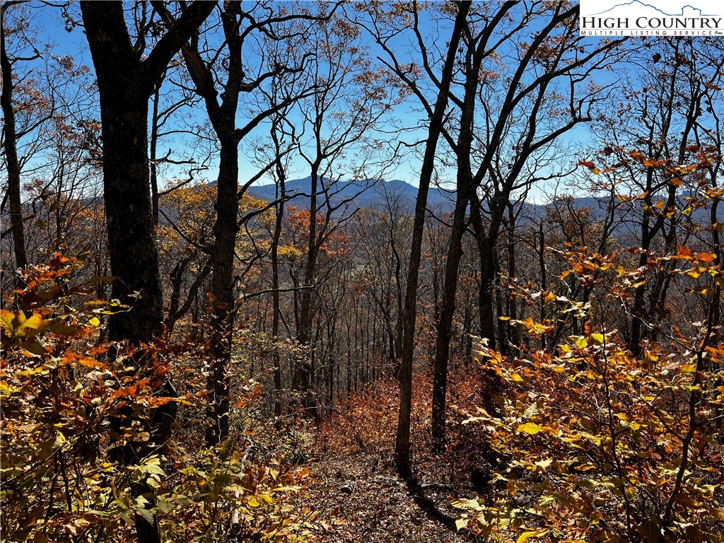 Lot 2 Chappell Farm Road Banner Elk, NC 28604 - Photo 6 of 27 a view of a forest