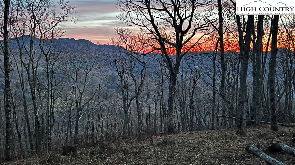 Lot 2 Chappell Farm Road Banner Elk, NC 28604 - Photo 7 of 27 a view of outdoor space with trees