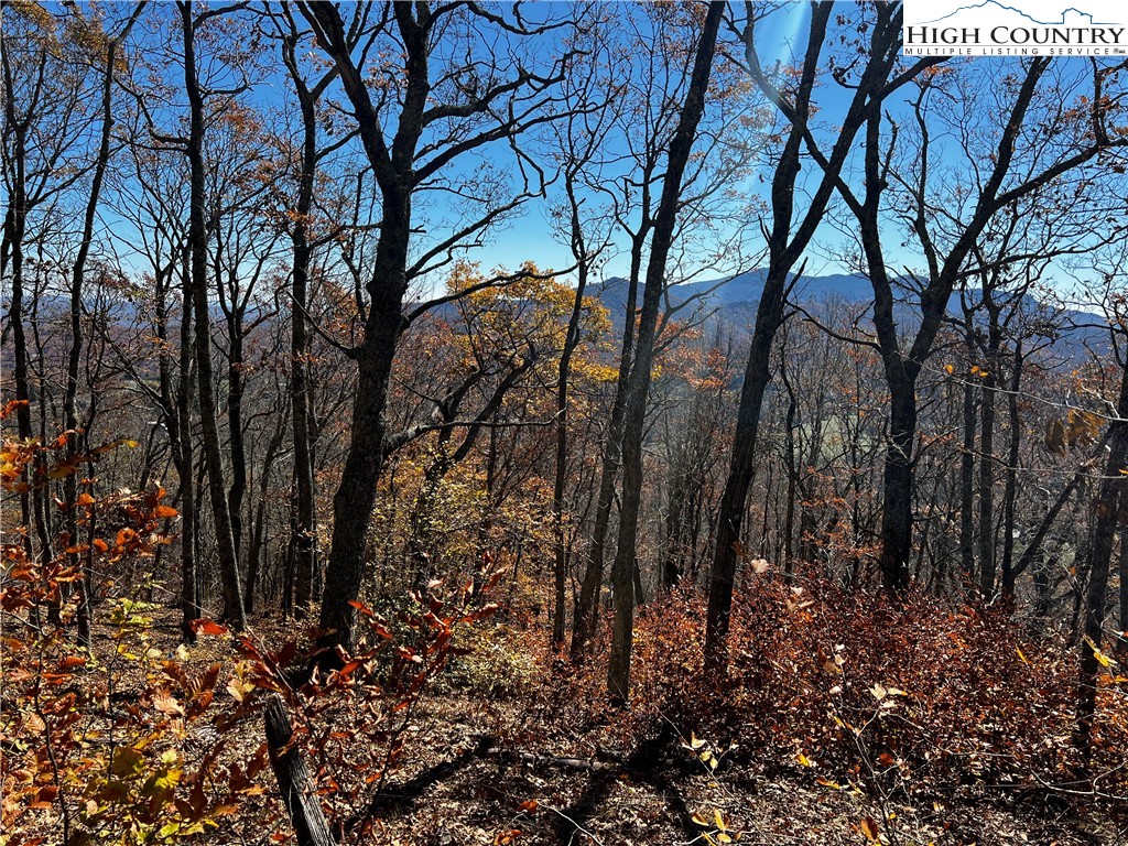 Lot 2 Chappell Farm Road Banner Elk, NC 28604 - Photo 8 of 27 a view of a forest