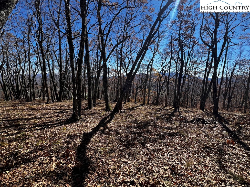 Lot 2 Chappell Farm Road Banner Elk, NC 28604 - Photo 9 of 27 a view of outdoor space with trees