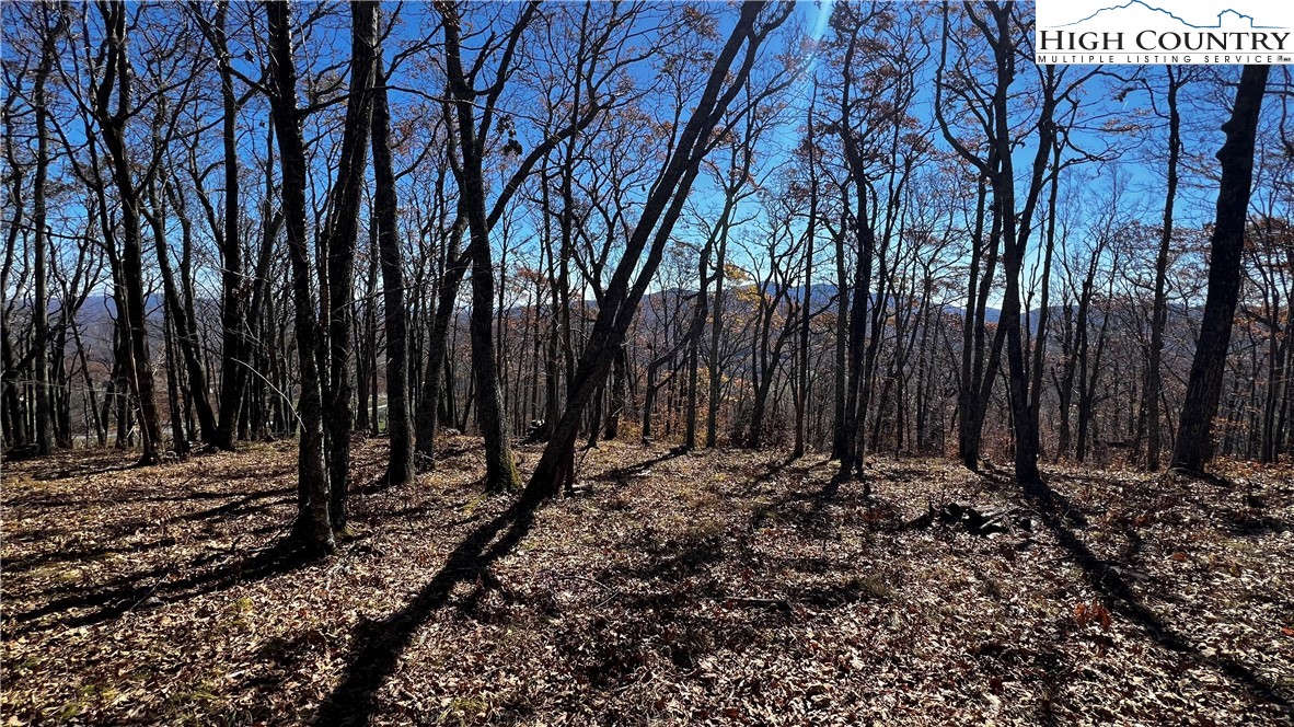 Lot 2 Chappell Farm Road Banner Elk, NC 28604 - Photo 10 of 27 a view of a backyard with trees