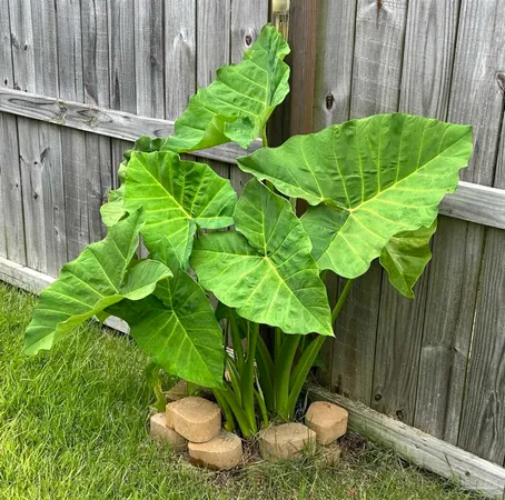 $2,400 | 5761 Danbury Boulevard, Pace, FL 32571