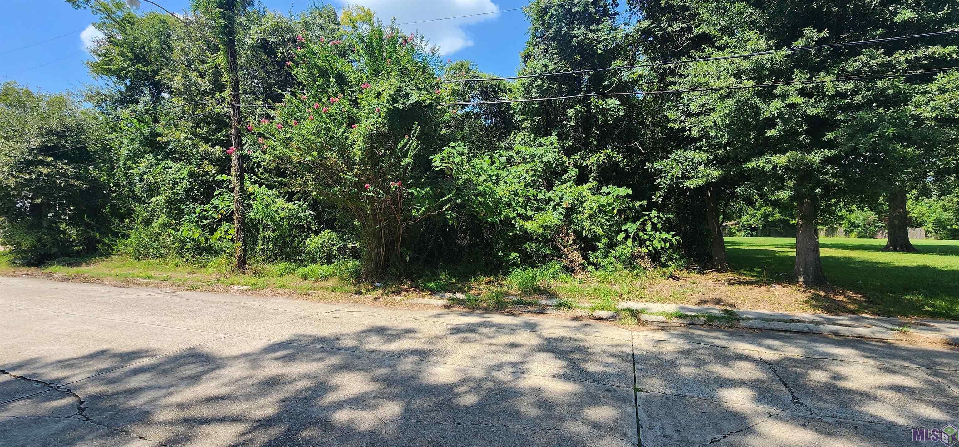 0 Stilt Street Baton Rouge, LA 70807 - Photo 3 of 5