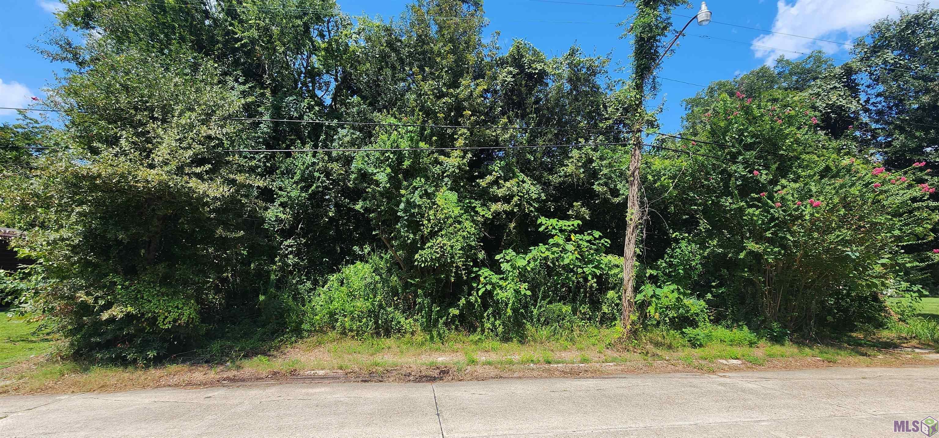 0 Stilt Street Baton Rouge, LA 70807 - Photo 4 of 5