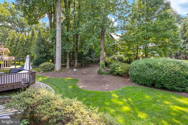 a view of a yard with large trees and wooden fence
