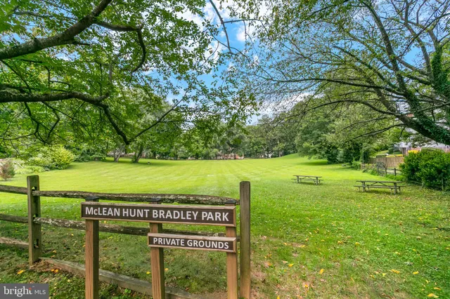 a view of a park with large trees