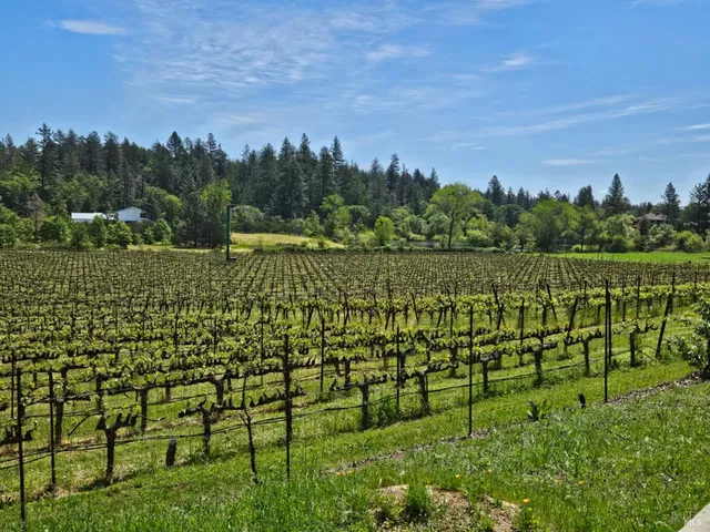 $1,495,000 | 1275 Summit Lake Drive, Angwin, CA 94508